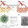 Fat-fighting nanoparticles