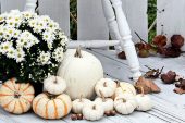 Fab fall porch Décor