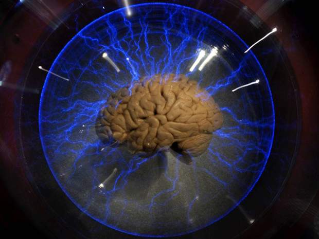 Does the mind use fibre optics? Calgary team floats &#8216;out-there&#8217; theory of light communication in the brain